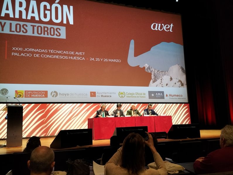 Las XXXI Jornadas Técnicas de AVET en Huesca congregaron a más de 200 veterinarios