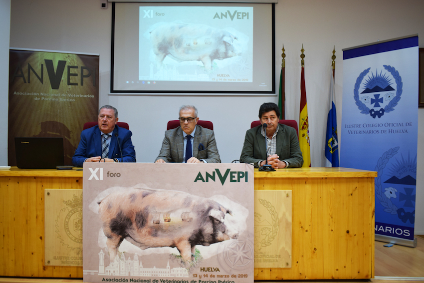 Unos 400 profesionales dedicados a la industria, producción y sanidad del cerdo ibérico se darán citan en el XI Foro ANVEPI