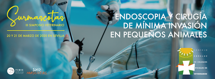 El Consejo Andaluz organiza el III Simposio Veterinario en el marco de la feria SURMascotas 