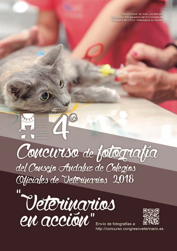 Convocado el IV Concurso de Fotografía "Veterinarios en Acción" 