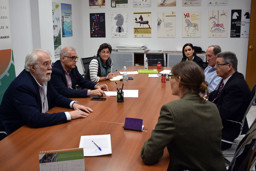 Los presidentes de los Colegios de Sevilla, Cádiz y Huelva abordan la situación del bienestar animal en romerías y fiestas con el Consejero de Estado Enrique Alonso García