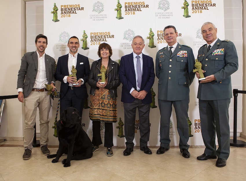 Rosa Montero, el SEPRONA, un perro que cuida a su dueño con Alzheimer y Calidad Pascual recibieron los Premios Bienestar Animal IV edición