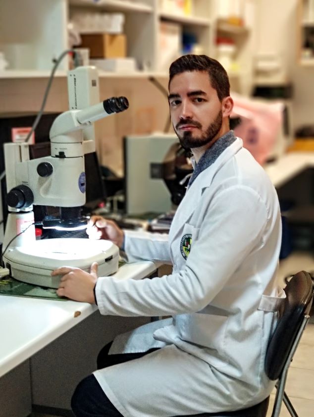 Un estudio de entomología veterinaria gana el III Premio Nacional Félix Pérez y Pérez 