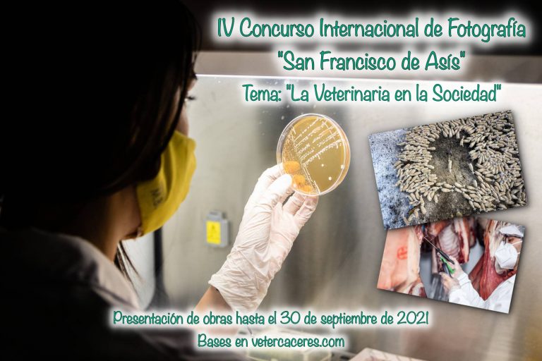 "La veterinaria en la sociedad", lema del Premio Internacional de Fotografía que organiza el Colegio de Veterinarios de Cáceres
