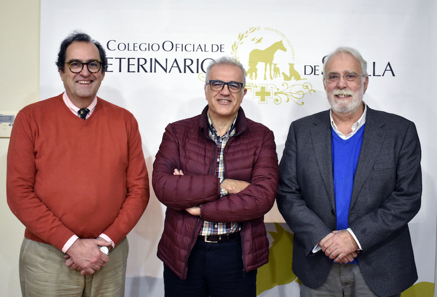 Aforo completo durante la “Jornada informativa de Identificación de Animales de Compañía” en el Colegio de Sevilla