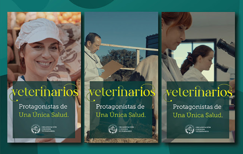 ‘Veterinarios, protagonistas de una única salud’: la campaña de la OCV para visibilizar su labor como garantes de la salud de todos