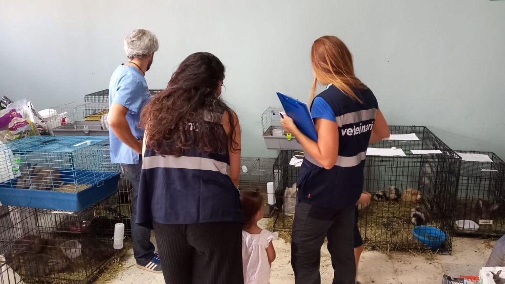 Los veterinarios de Canarias responden en el incendio de Tenerife a la mayor movilización de animales de compañía en situación de emergencia