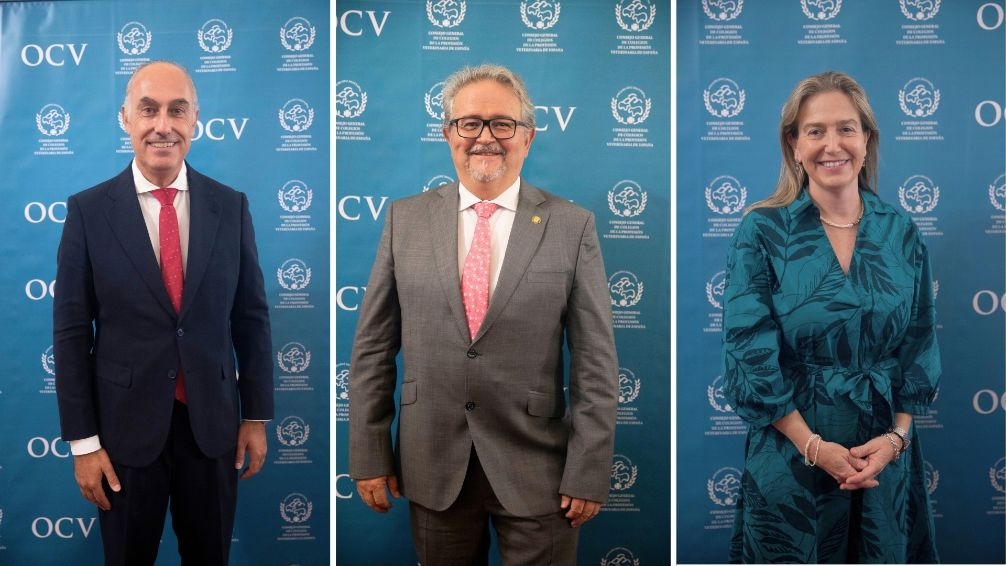&Aacute;lvaro Mateos, Fernando Carrera y Mar&iacute;a Magari&ntilde;os presentan sus candidaturas al cargo de consejero del Consejo General