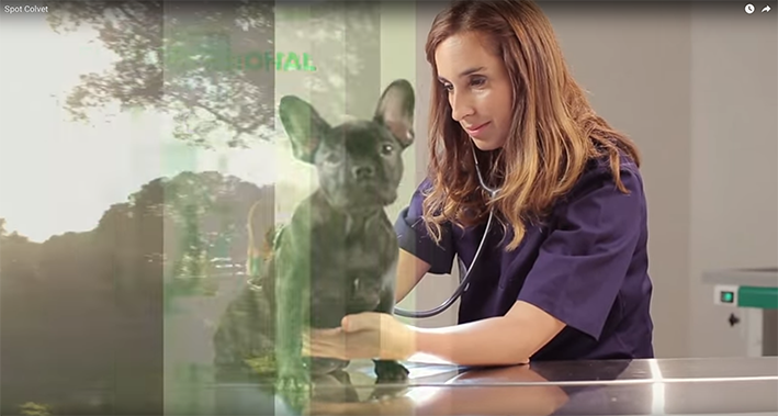 COLVET promociona la profesión veterinaria en los medios de comunicación
