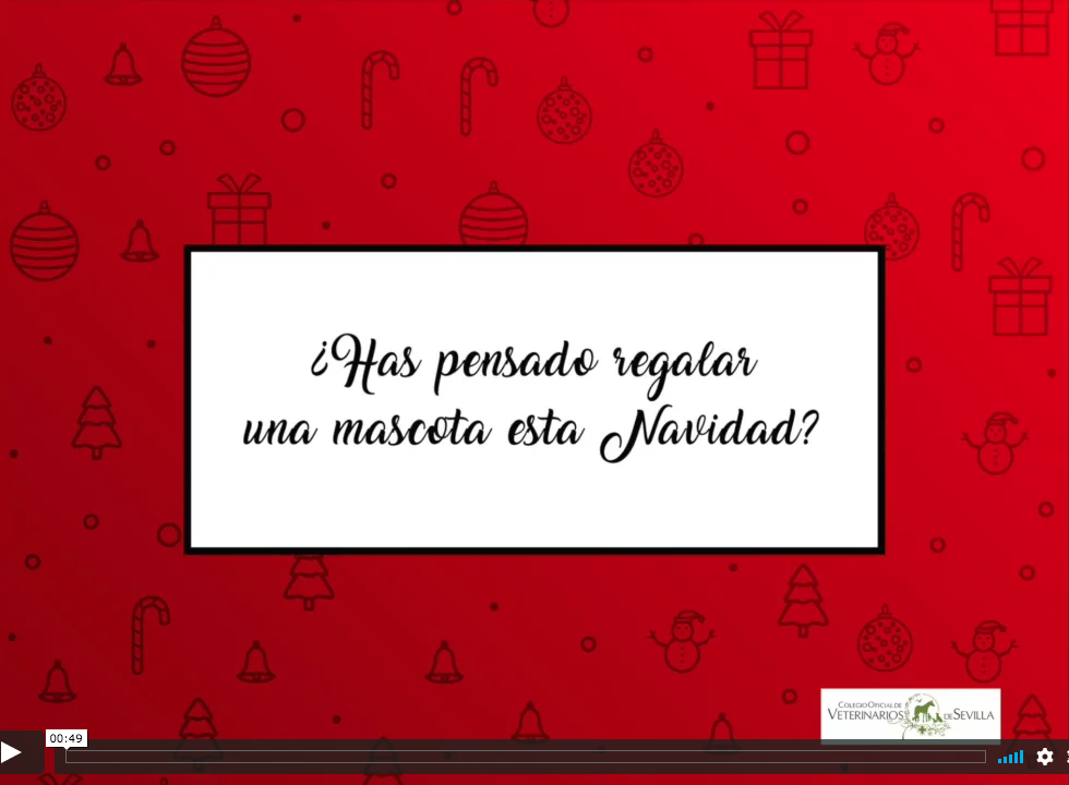 Vídeo y guía práctica a seguir antes de regalar mascotas esta Navidad