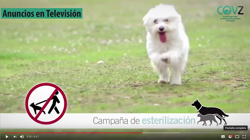 Un vídeo muestra el compromiso de los colegiados zaragozanos con el bienestar animal