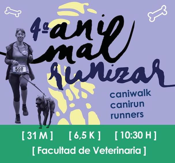 Zaragoza acoge la IV edición de la carrera “Animalrunizar”