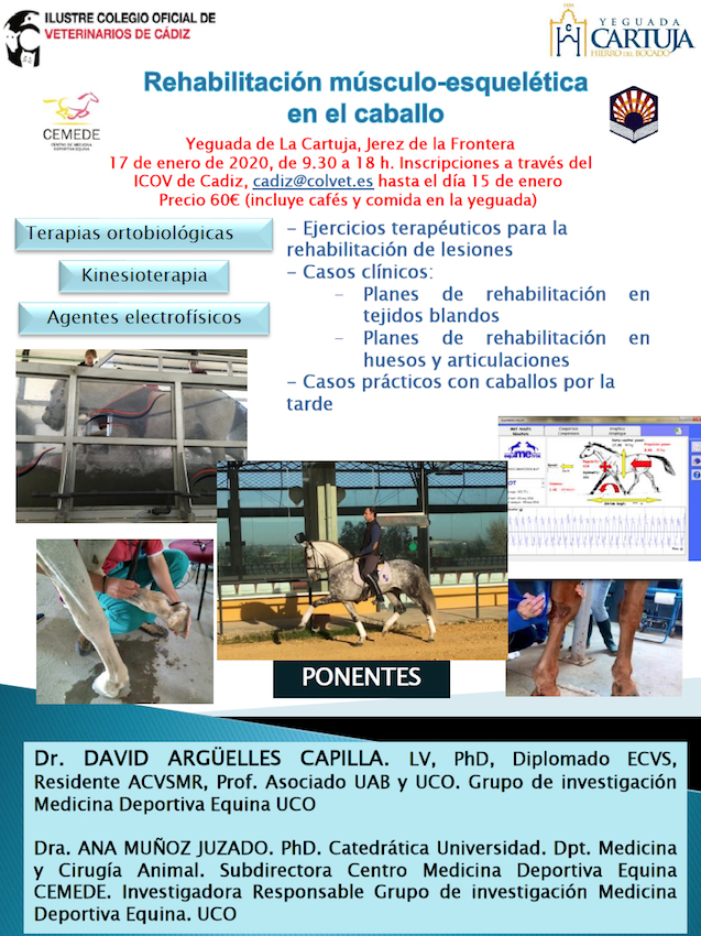 Curso de "Rehabilitación Músculo-Esquelética en el Caballo"