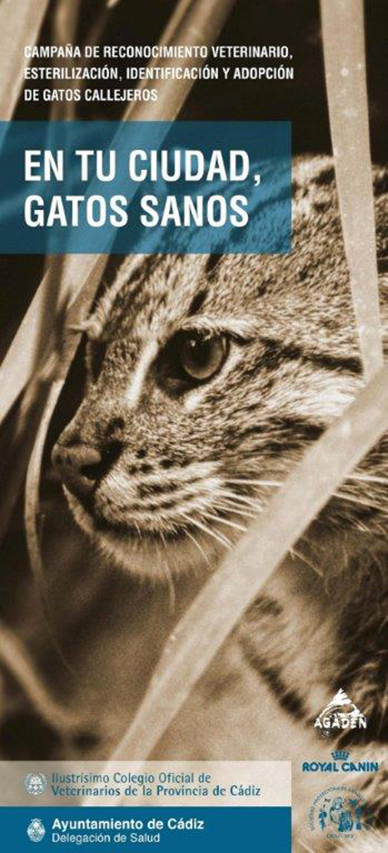 Ayuntamiento, Kimba, Agaden y veterinarios renuevan la campaña “En tu salud, gatos sanos”