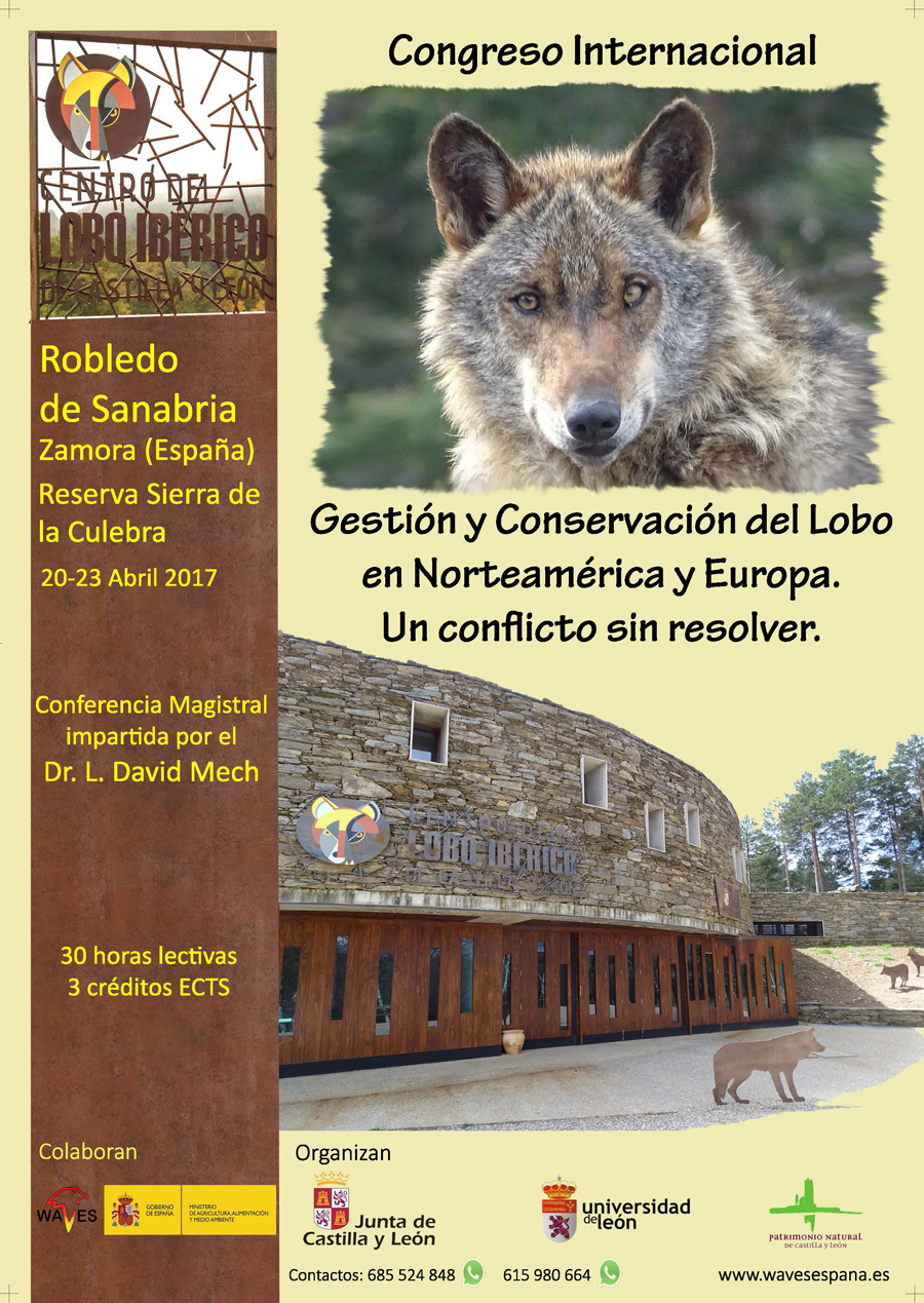 La gestión y conservación del lobo, a examen