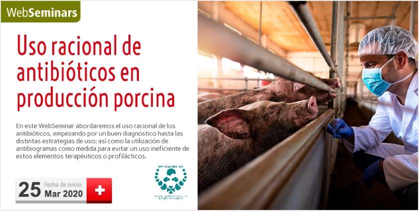 El Colegio de Zaragoza organiza un seminario online sobre el uso correcto de antibióticos en porcino, impartido por el especialista Guillermo Ramis