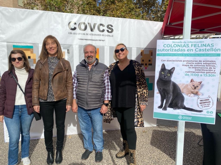 El Colegio de Castellón colabora con el Ayuntamiento de la capital en la gestión de las colonias felinas