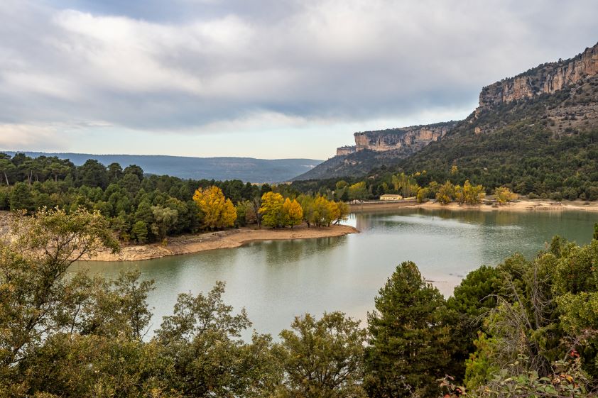 Los veterinarios de Castilla-La Mancha gestionan dos millones de hectáreas, la mayor superficie de la Red Natura 2000