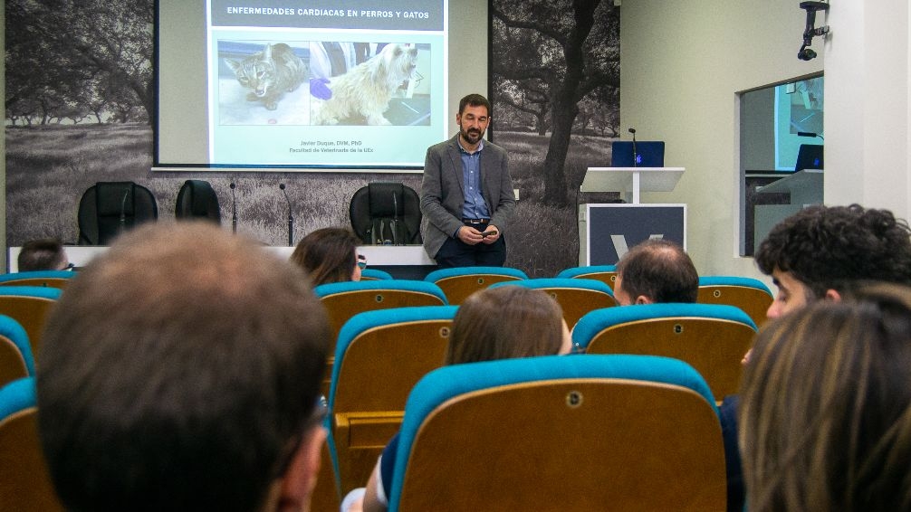 El Colegio de Veterinarios de Cáceres dedica el último sábado de mes a la formación en clínica de pequeños animales