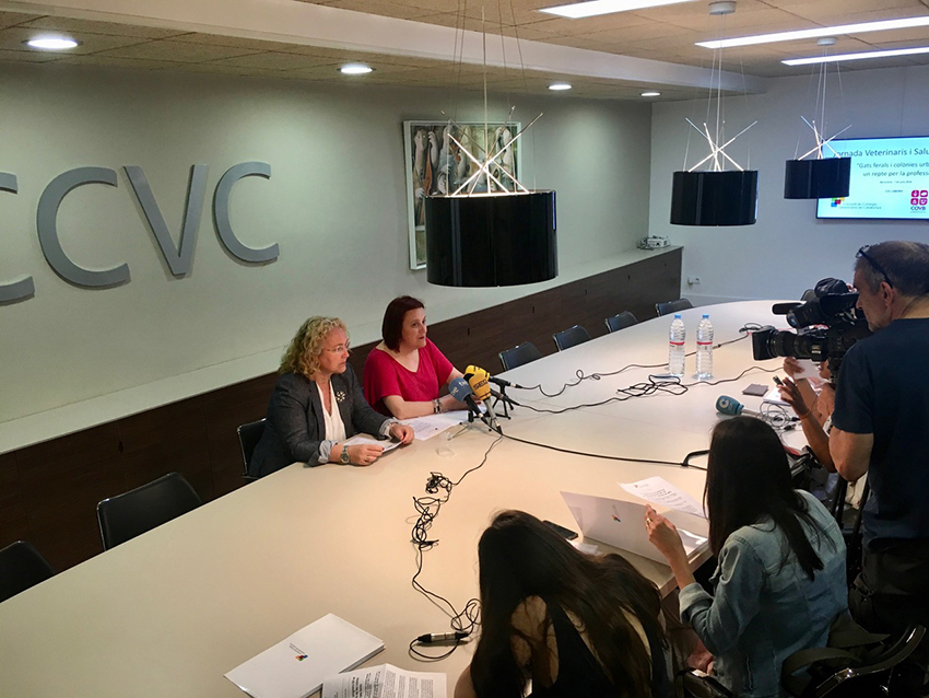 Los veterinarios catalanes crean el programa GIF-vet para controlar las colonias de gatos