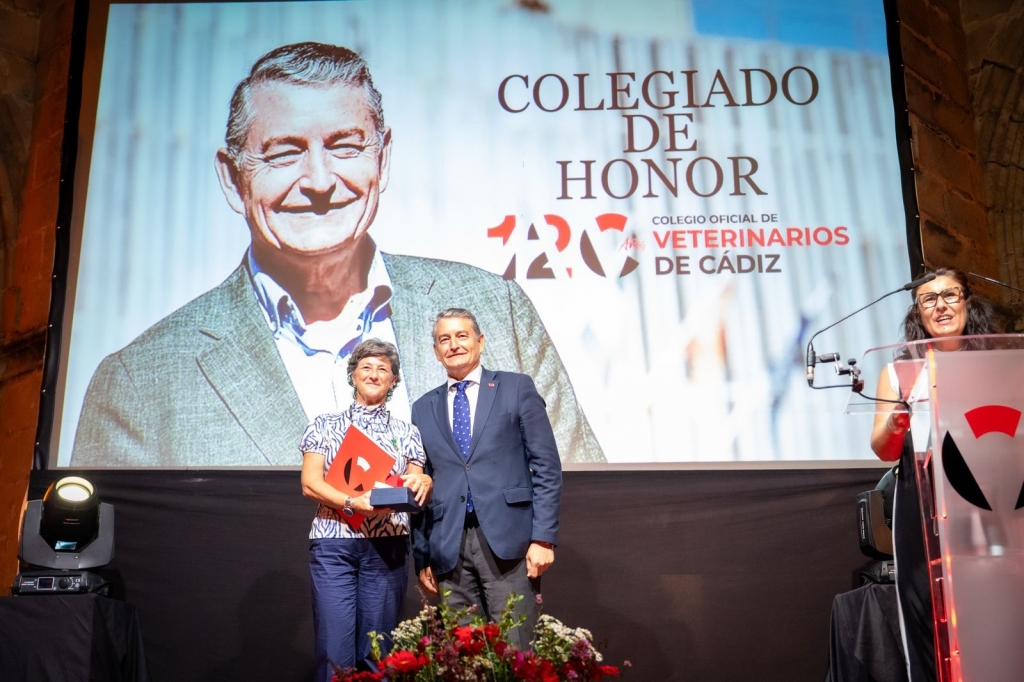 El vicepresidente primero de la Junta de Andaluc&iacute;a, Antonio Sanz, nombrado colegiado de honor del Colegio de C&aacute;diz