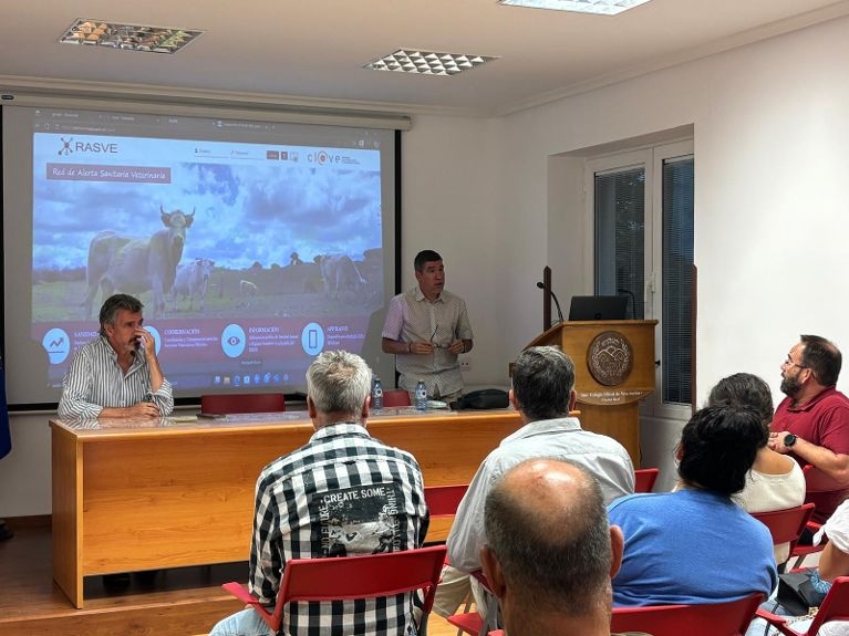 Veterinarios de explotación de Ciudad Real demandan más información por parte de las autoridades sobre la evolución de la lengua azul