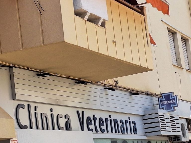 El Consejo de Castilla La Mancha demanda que los centros veterinarios sean considerados un eslabón más de la Atención Primaria 