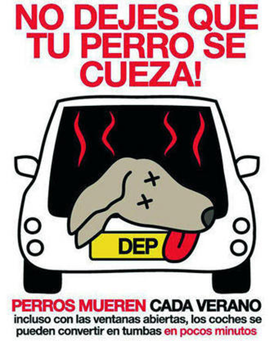 El peligro de los perros encerrados en el coche 