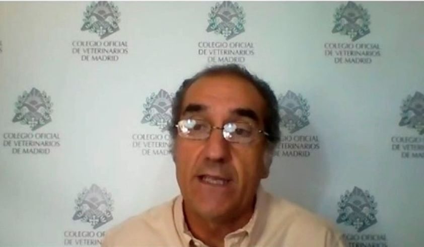 Colvema destaca que la visión global y experiencia de los veterinarios en  zoonosis podría aportar mucho en el control de la Covid-19