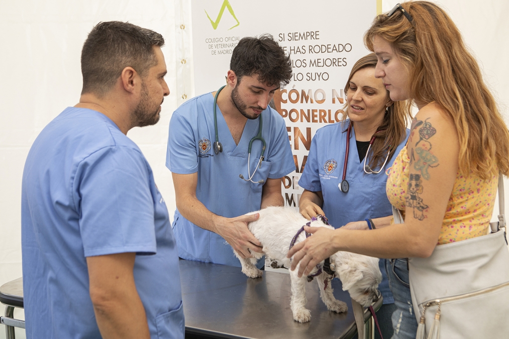El Día de las Profesiones permitió difundir la versatilidad de veterinaria al numeroso público que pasó por el stand del Colvema