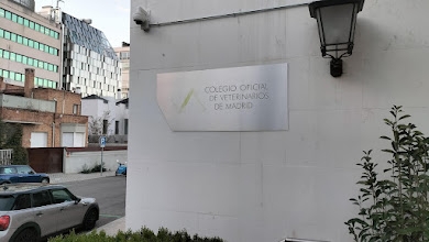 Condena judicial por intrusismo y falsedad documental tras una denuncia del Colegio de Veterinarios de Madrid