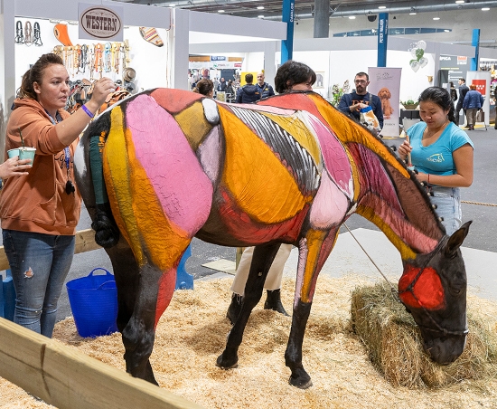 Patricia Prats prepara el caballo para la exhibición de biomecánica 