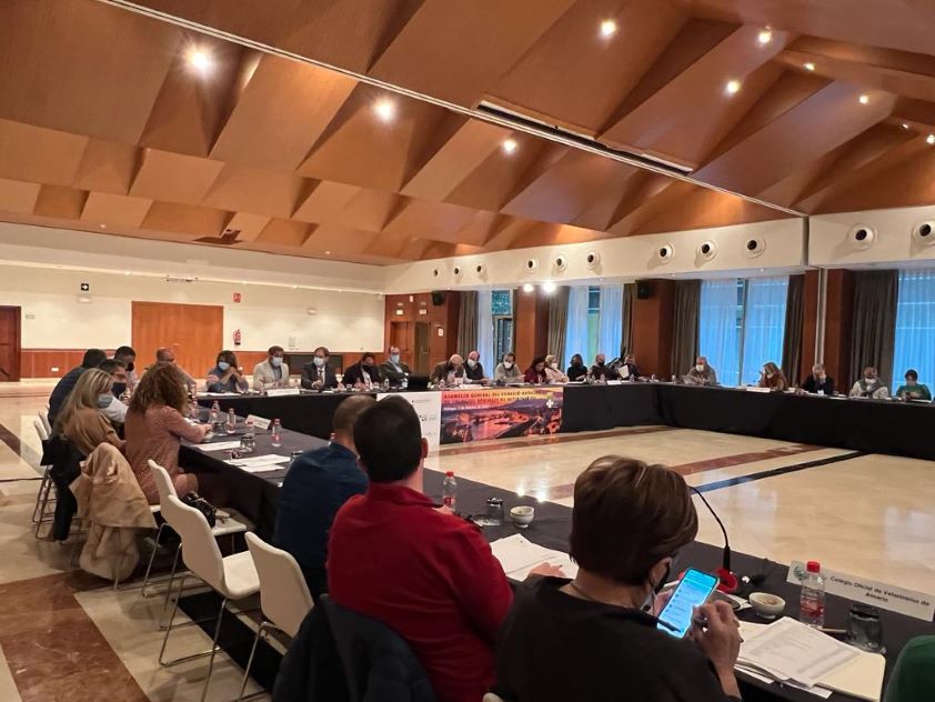 El Consejo Andaluz aprobó en asamblea general los presupuestos del ejercicio 2022