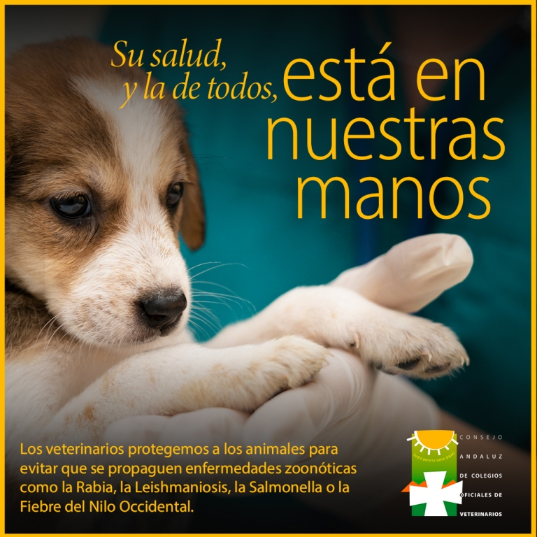 “Su salud y la de todos, está en nuestras manos”, campaña del Consejo Andaluz para concienciar sobre las zoonosis