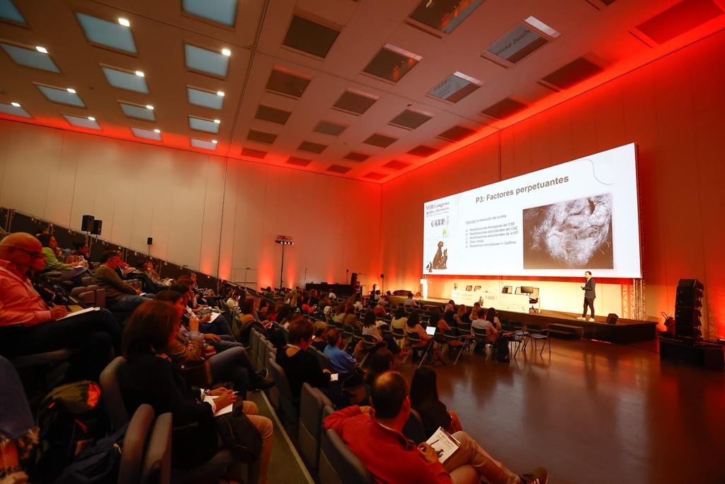 El Consejo Andaluz cierra el año 2023 con una activa participación colegial en materia formativa 