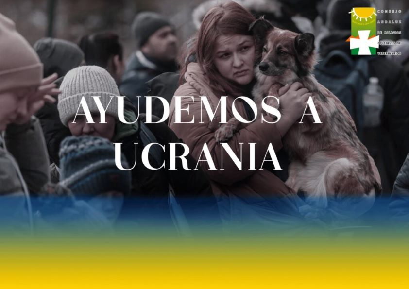 El Consejo Andaluz de Veterinarios publica el protocolo de actuación a seguir con los animales que lleguen a la comunidad procedentes de Ucrania 