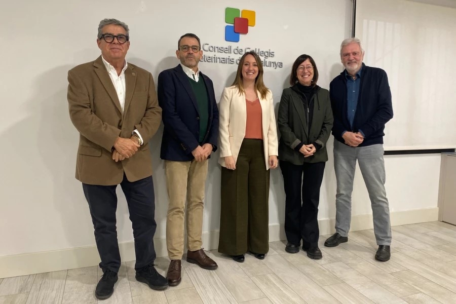 Responsables del Consejo de Catalu&ntilde;a se re&uacute;nen con la portavoz de la subcomisi&oacute;n veterinaria en el Congreso de los Diputados