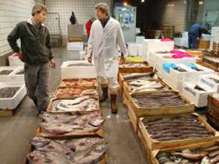 Donación de  4 toneladas de pescado decomisado en 2016