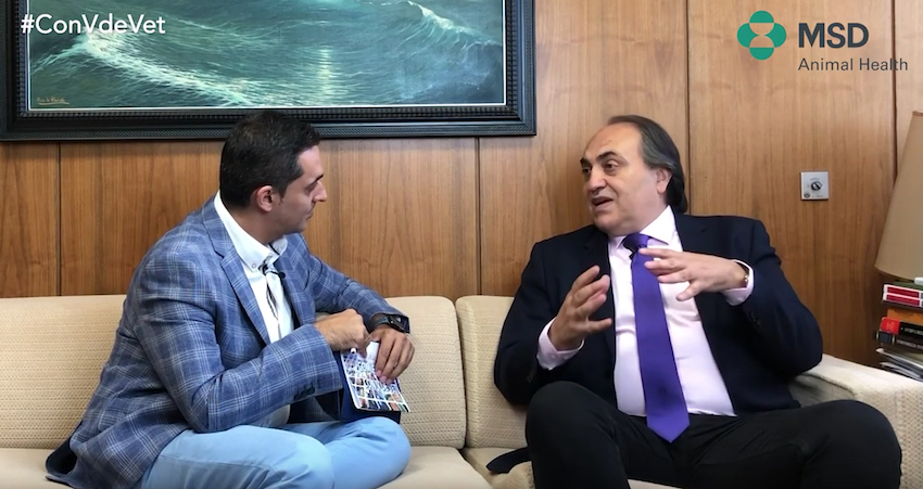 Luis Alberto Calvo: “Deberíamos tener un organismo central con autoridad y capacidad de coordinar todos los servicios que el veterinario da a la  sociedad”
