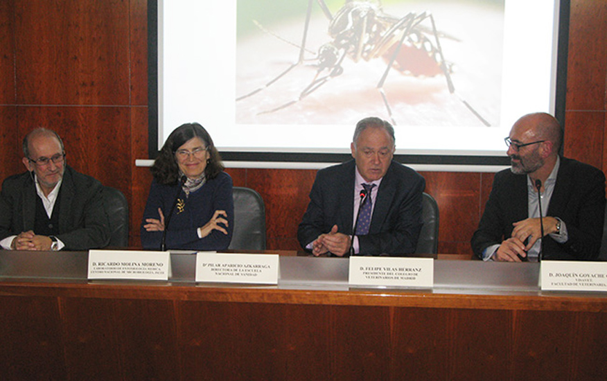 Expertos en zika consideran esencial integrar los sistemas de vigilancia