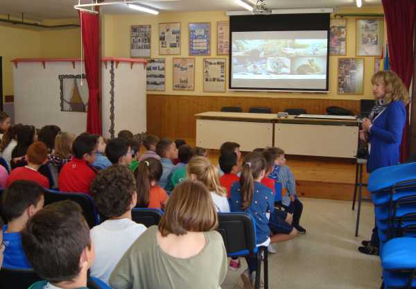 Los Colegiados asturianos reivindican la condición sanitaria de los veterinarios como garantes de la salud pública y la seguridad alimentaria