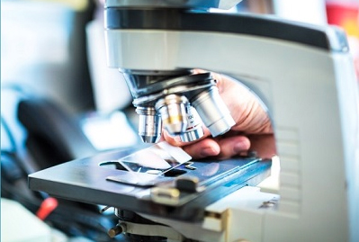 Curso sobre “Interpretación Práctica de Criterios Microbiológicos en la Empresa Alimentaria”