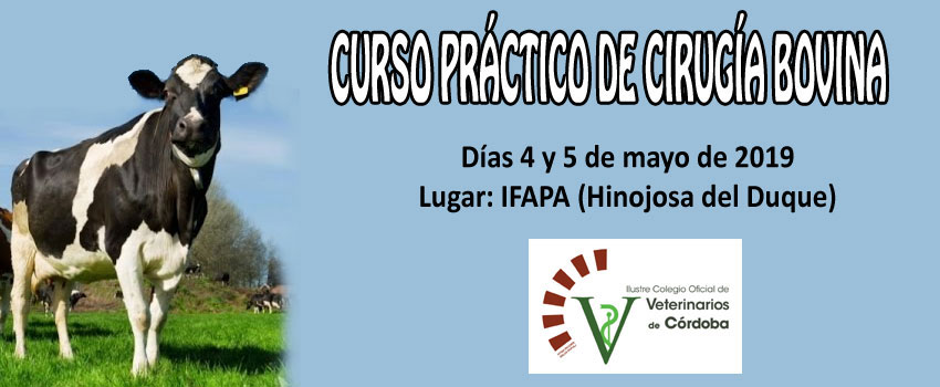 Curso práctico de cirugía bovina