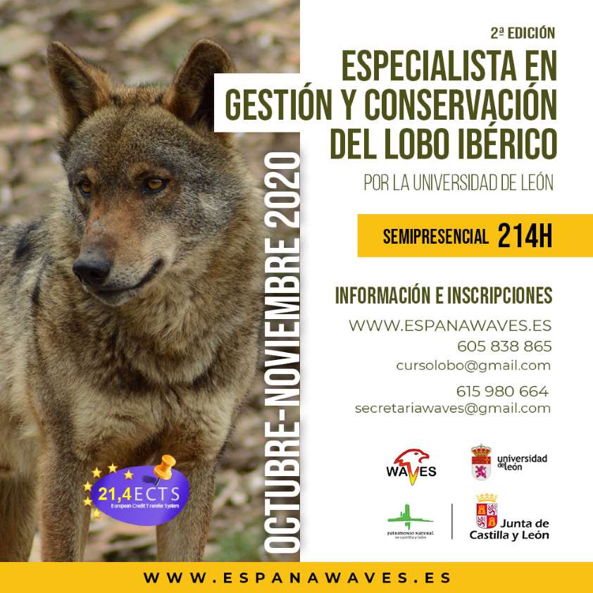 La segunda edición del título de Especialista en Gestión y Conservación del Lobo Ibérico de la Universidad de León se impartirá en octubre y noviembre