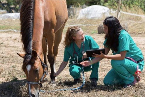 Comenzó el Curso de peritación veterinaria