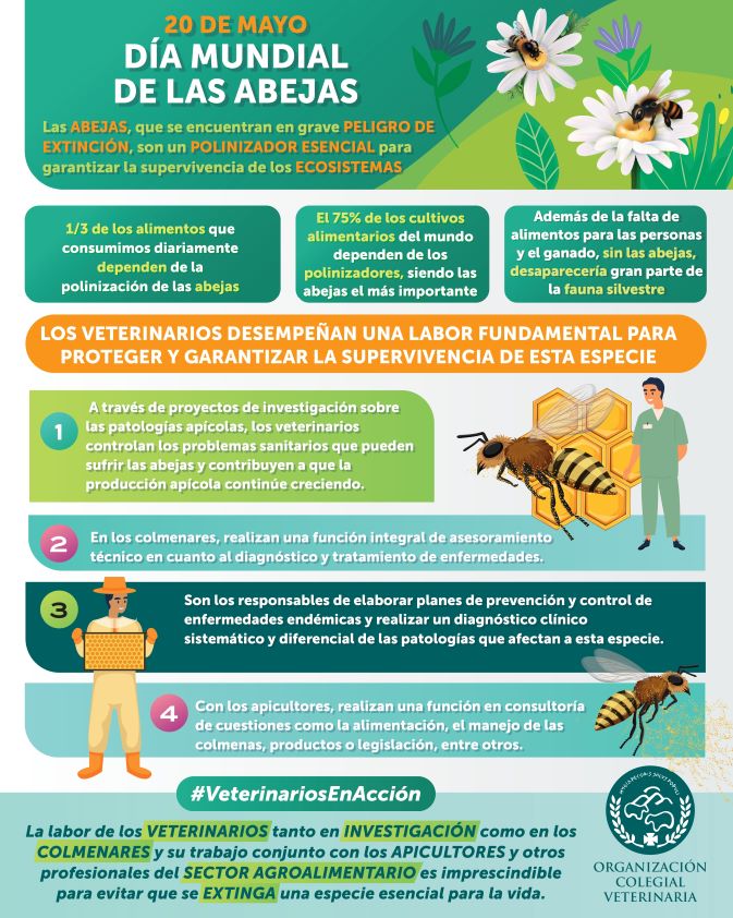 El trabajo de los veterinarios, decisivo para el incremento de un 9% del censo de abejas en España
