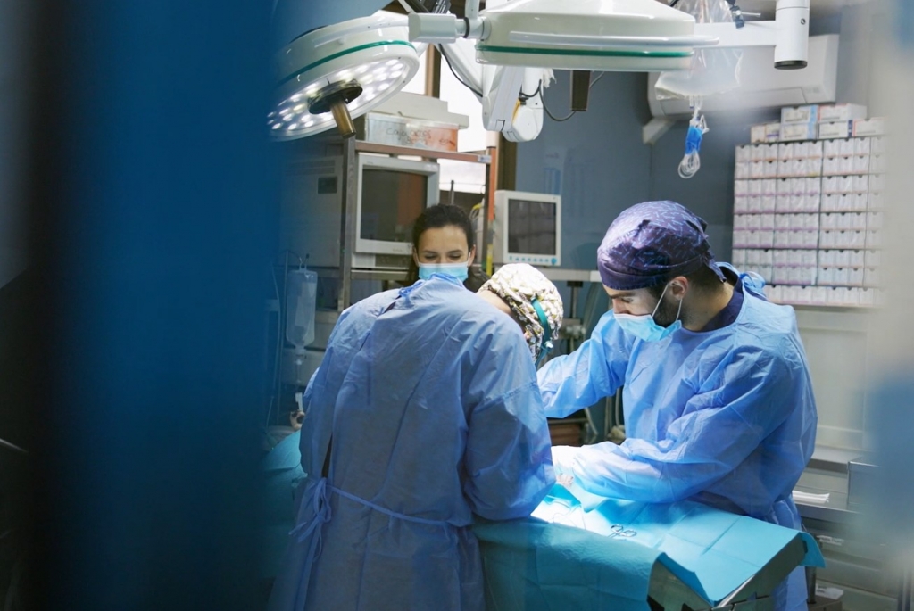 La OCV valora la aprobaci&oacute;n del certificado profesional de asistencia cl&iacute;nica en centros veterinarios como un avance en la ordenaci&oacute;n del sector