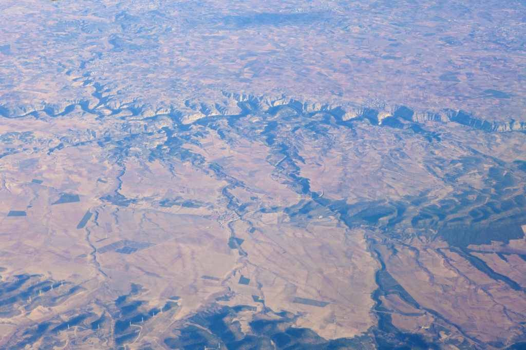 Los veterinarios, parte de la solución para evitar la desertificación de Castilla-La Mancha