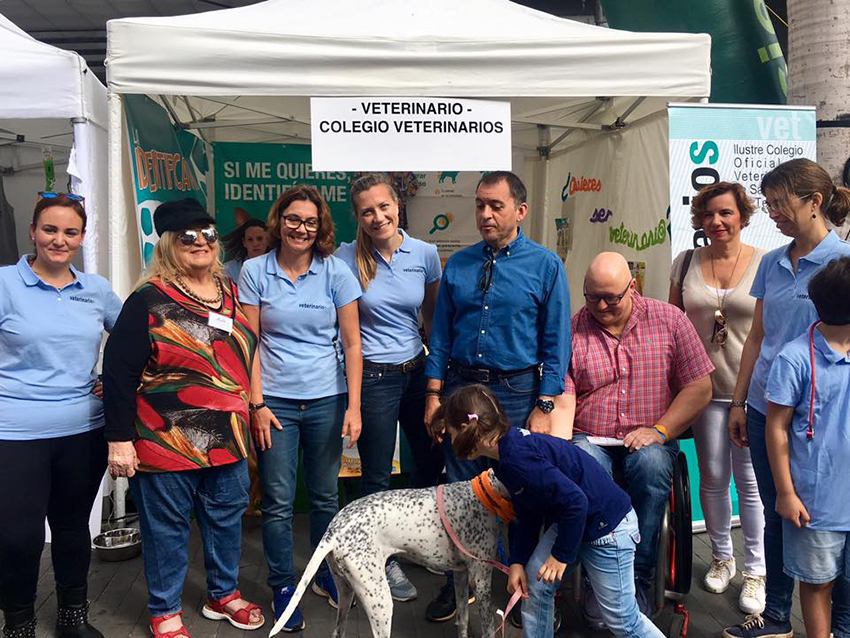 Santa Cruz de Tenerife celebró el Día de los animales fomentando al adopción