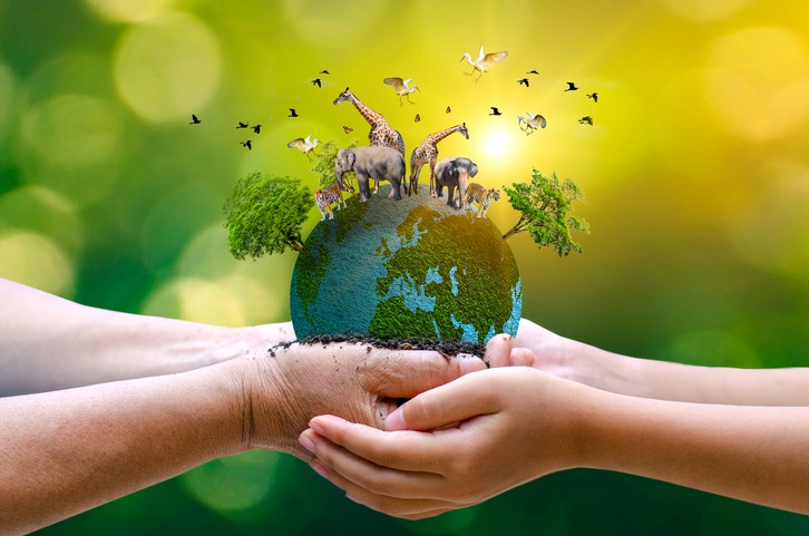 La OCV reivindica una mayor participación de los veterinarios en gestión medioambiental para evitar la transmisión de enfermedades a la población